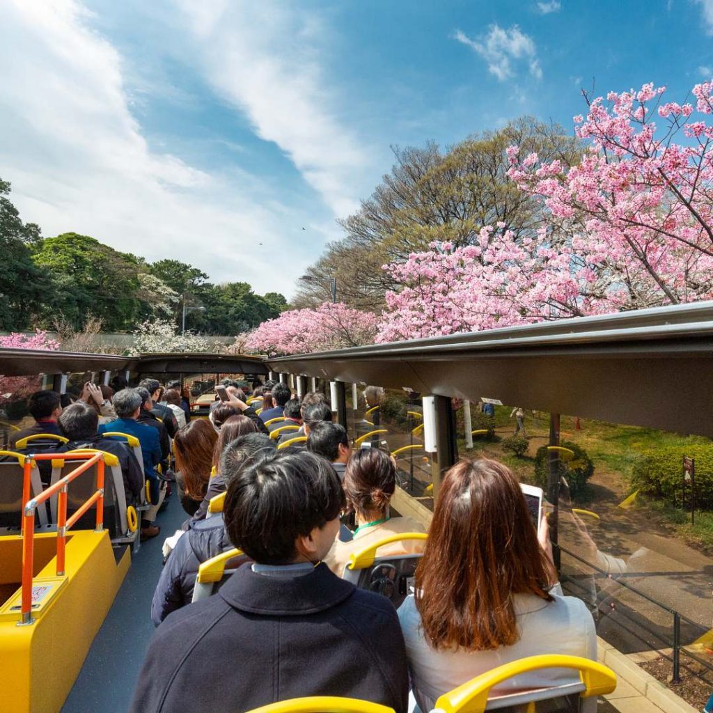 jalan jalan ke Jepang: Bus Japan 