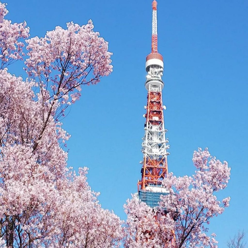 tempat wisata jepang : tokyotower