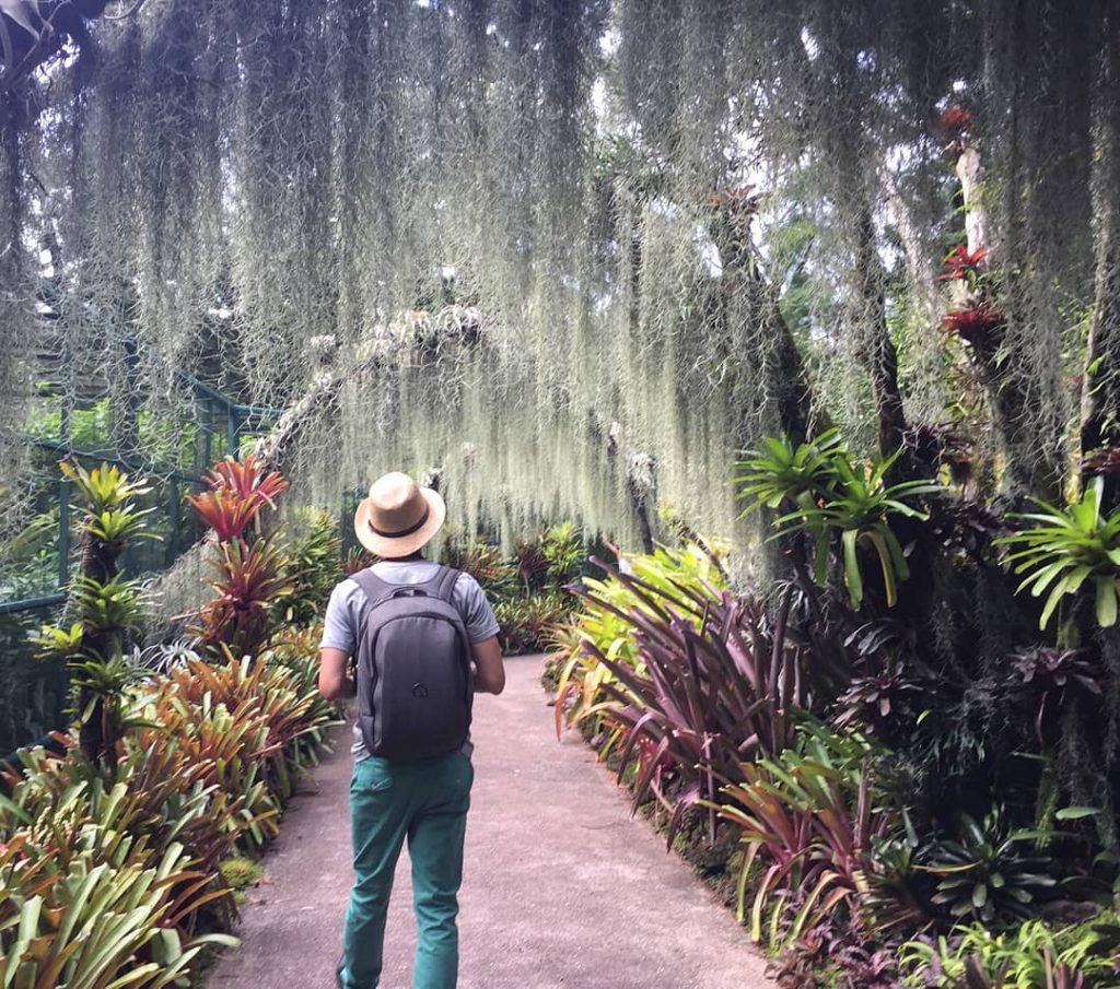 Singapore Botanic Garden