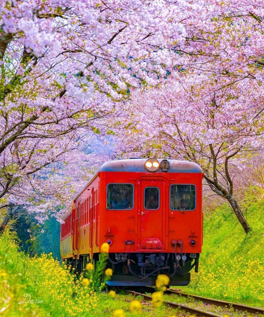 Tentang Jepang: Transportasi