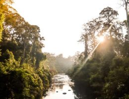 Mengenali Sungai – Sungai di Malaysia yang Fenomenal