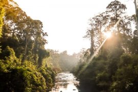 Mengenali Sungai – Sungai di Malaysia yang Fenomenal