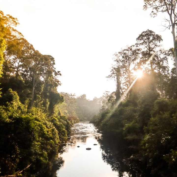 Mengenali Sungai Sungai Di Malaysia Yang Fenomenal Befree Blog