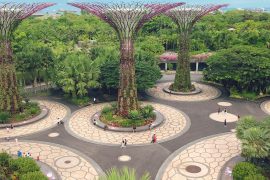 8 Most Popular Things to do in Singapore that you must visit