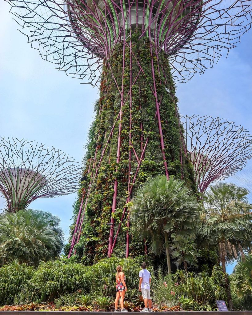 Place to visit in Singapore-Garden by the Bay 