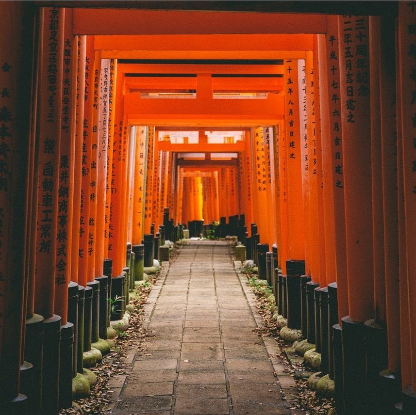 Backpacker ke Jepang : Fushimi Inari Shrine