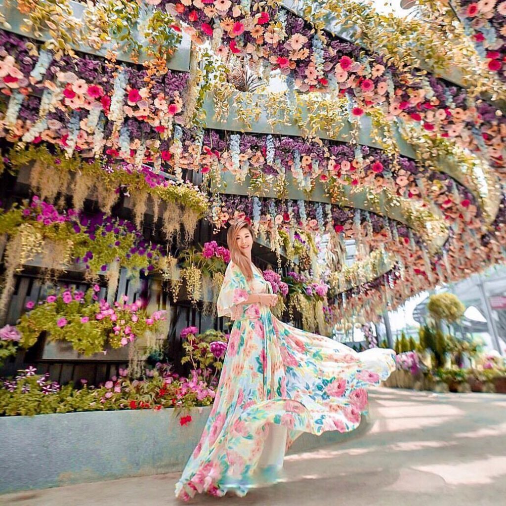 cara ke Singapura dari Malaysia: Gardens by the Bay 