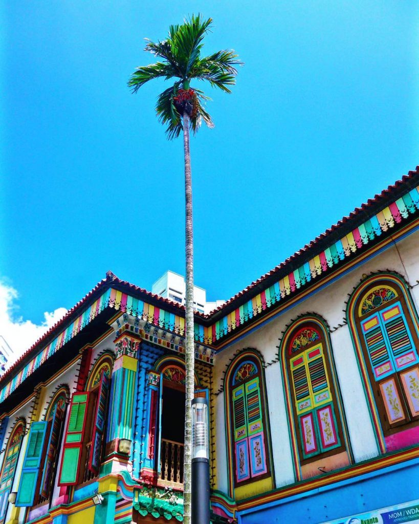 what to do in singapore : Little India