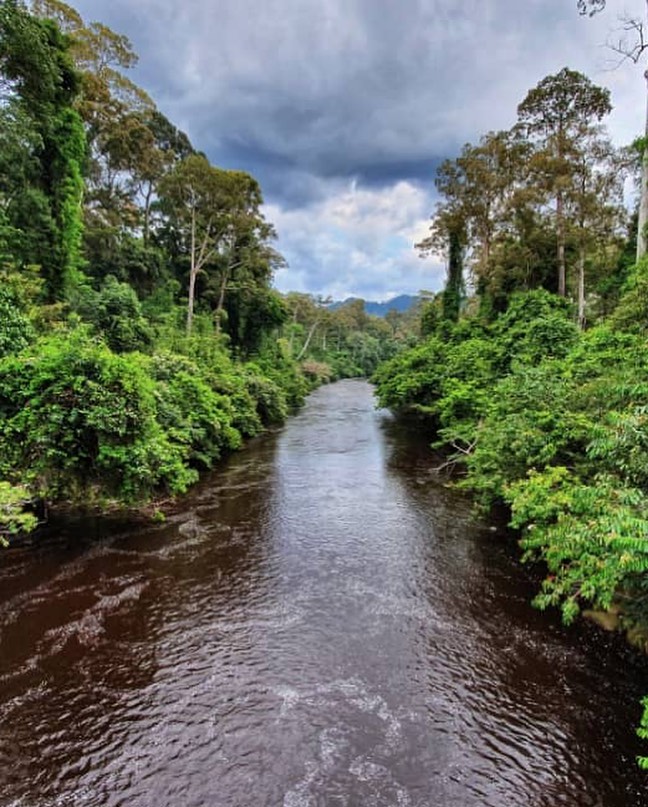 Sungai di Malaysia : Sungai Maliau