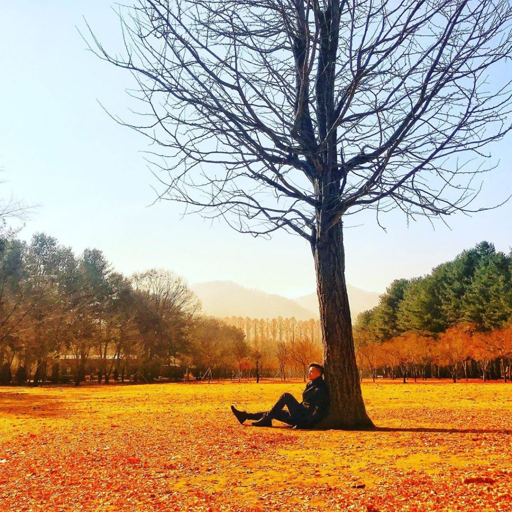 jalan jalan ke korea : nami island