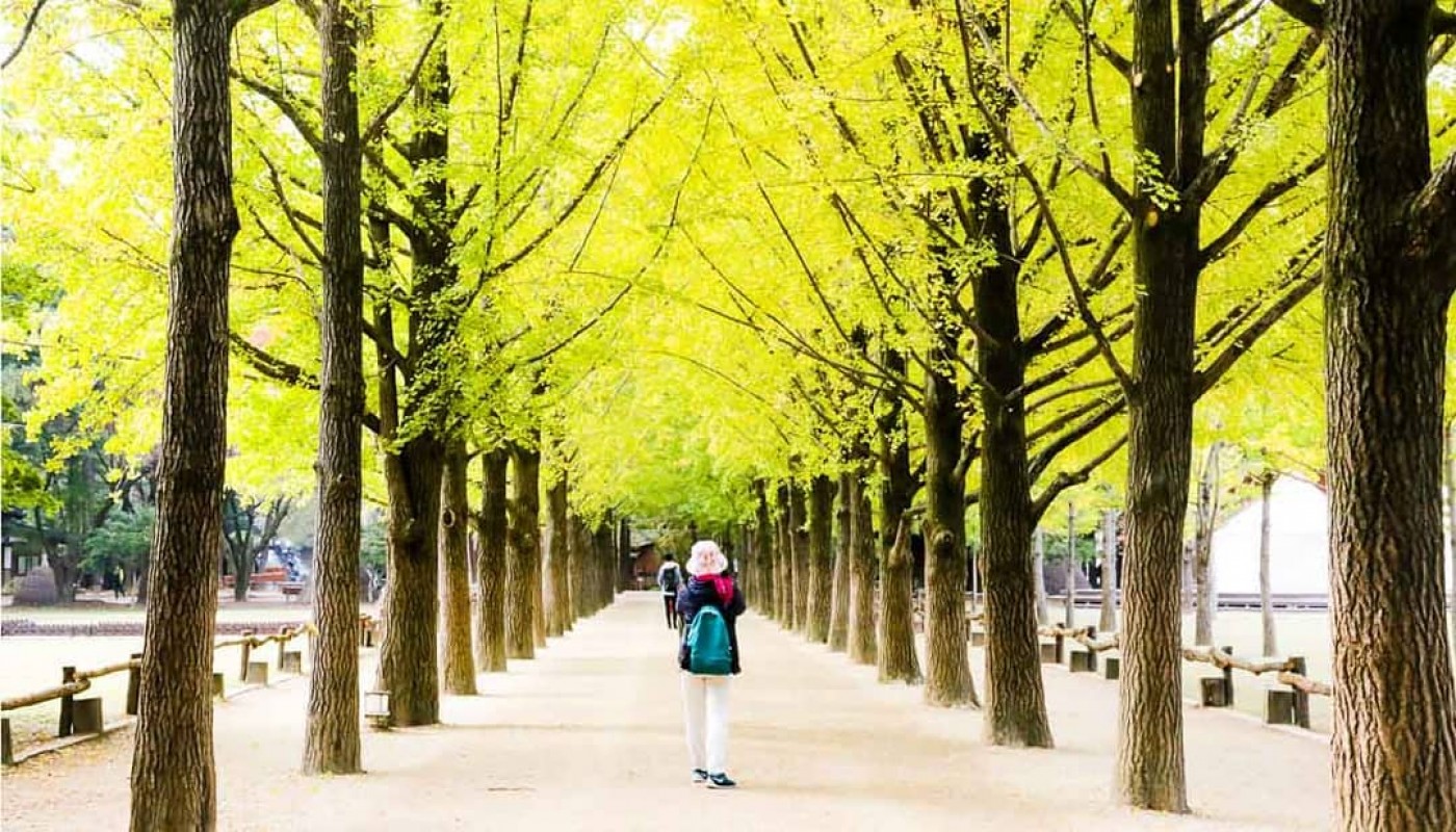 Tempat Wisata Di Korea Selatan