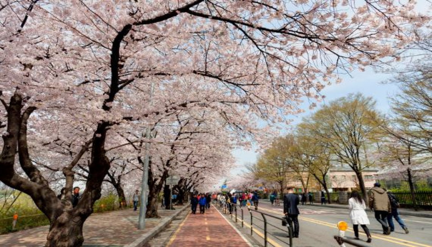 Tempat Wisata Di Korea Selatan Saat Musim Dingin Tempat