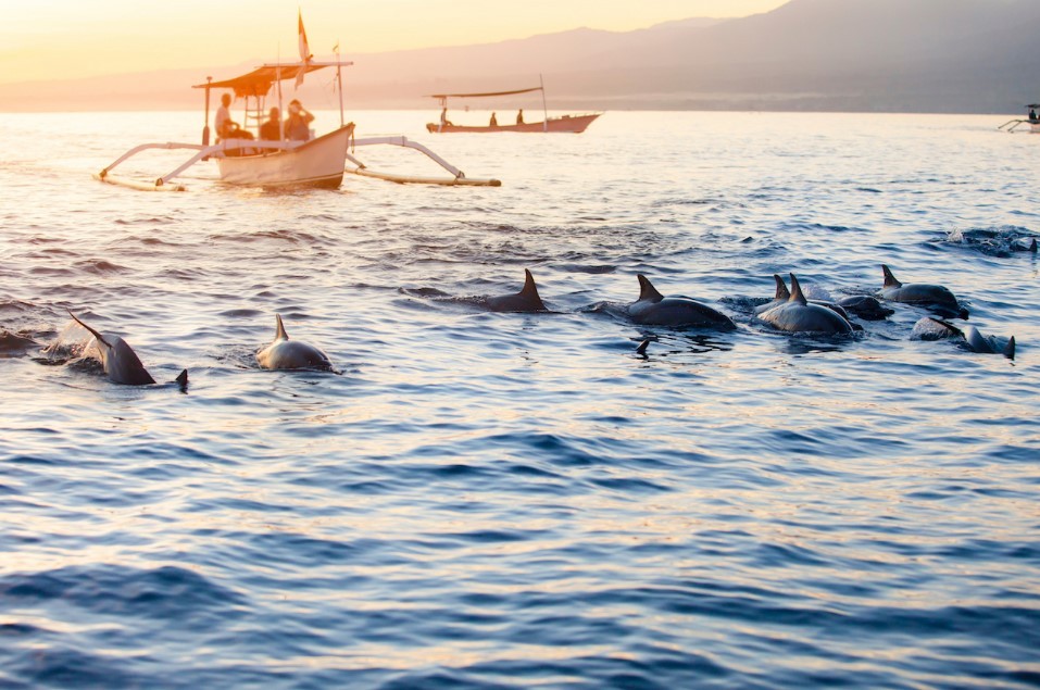 Lovina Beach - Foto, Lokasi, Review, Rute & Fasilitas - Befree Tour