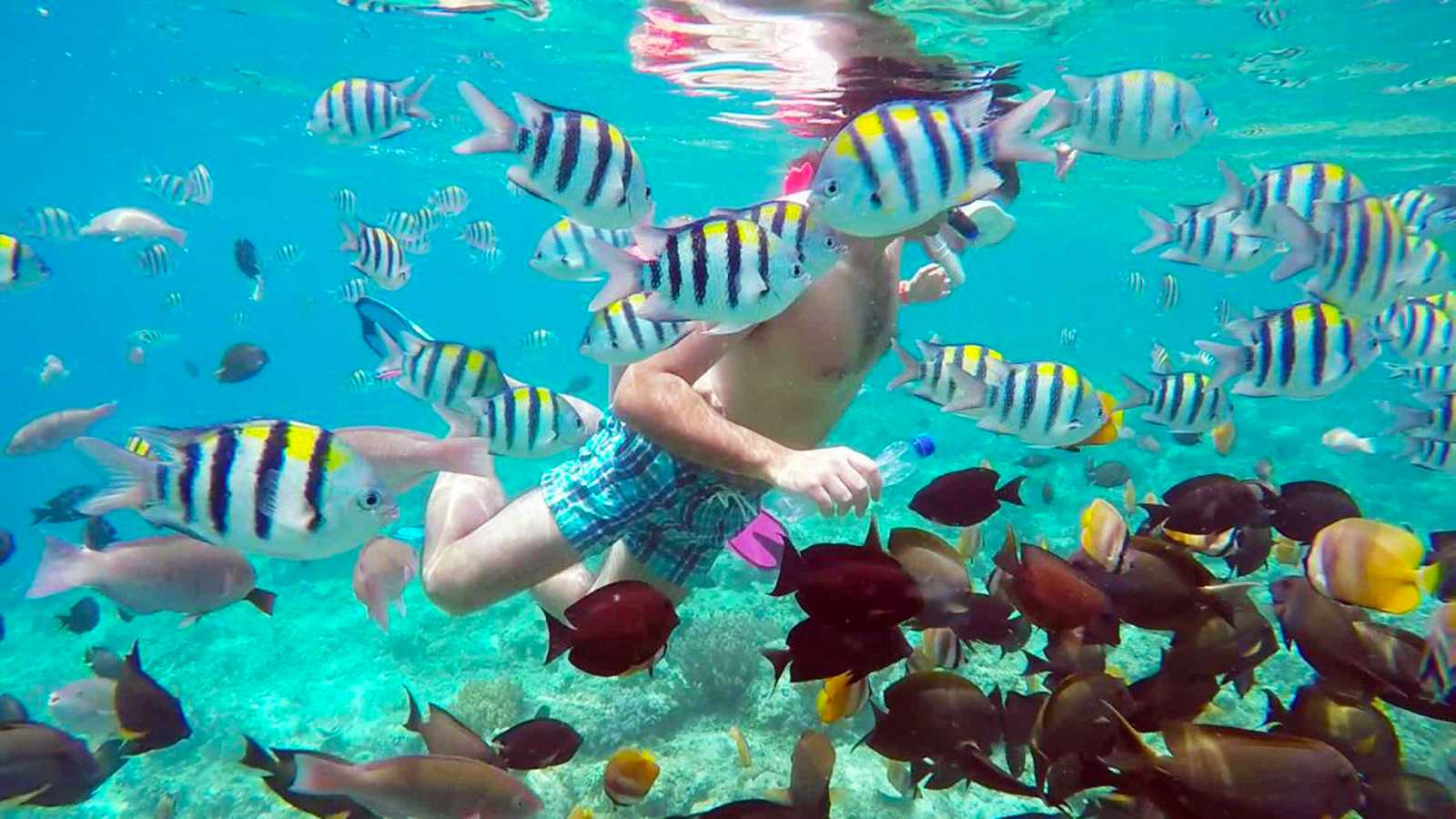 3 Gili Lombok Snorkeling Tour Gili Trawangan, Gili Meno, Gili Air