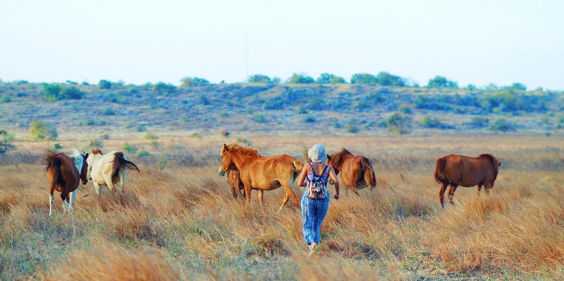 OPEN TRIP 4 Days 3 Nights Exploring Sumba East Nusa Tenggara