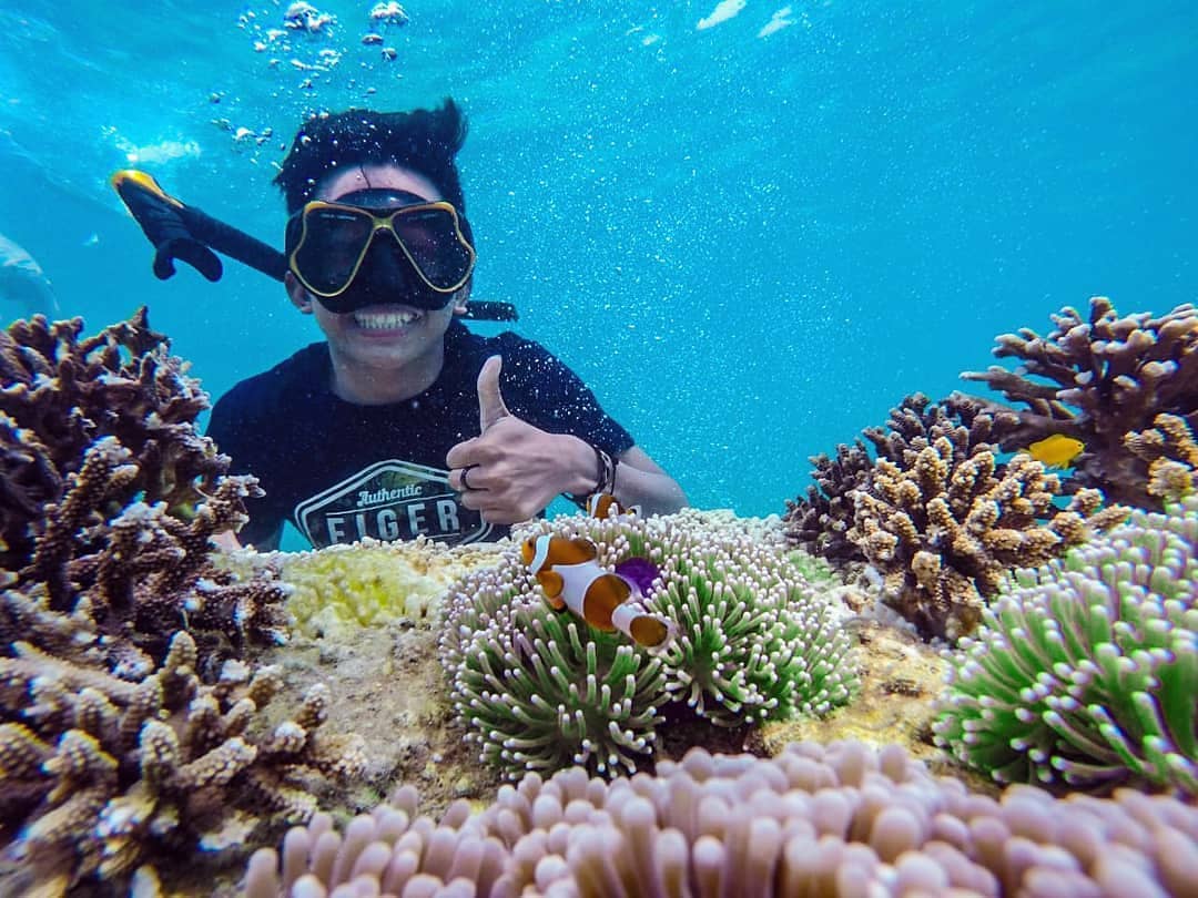 Wisata Di Probolinggo Gili Ketapang – Tempat Wisata Indonesia
