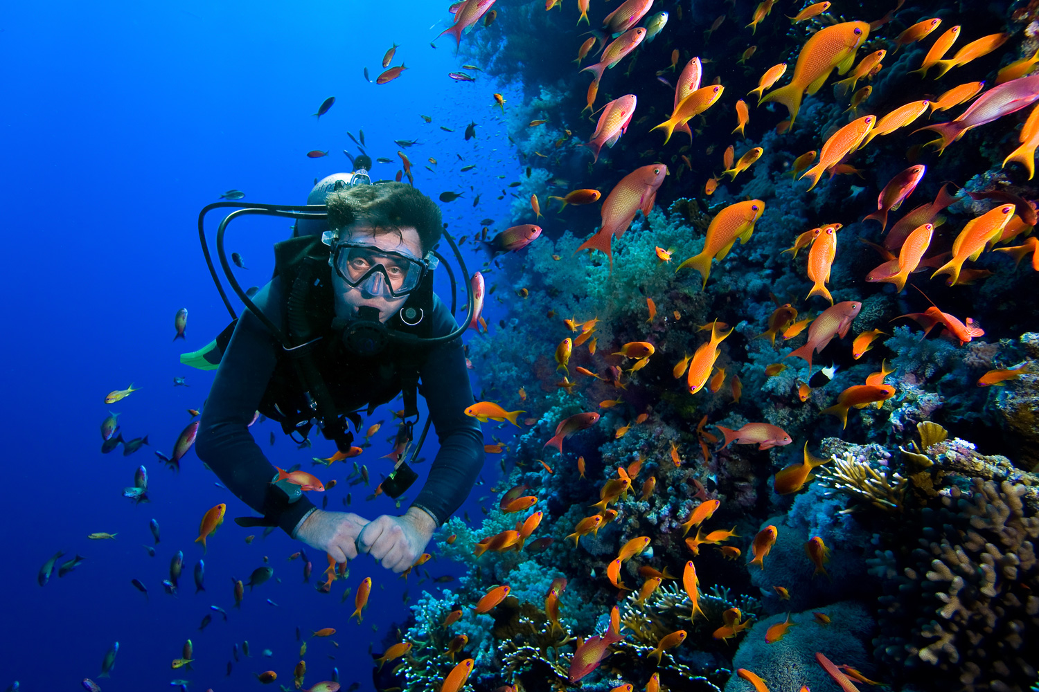 Raja Ampat Scuba Diving Experience