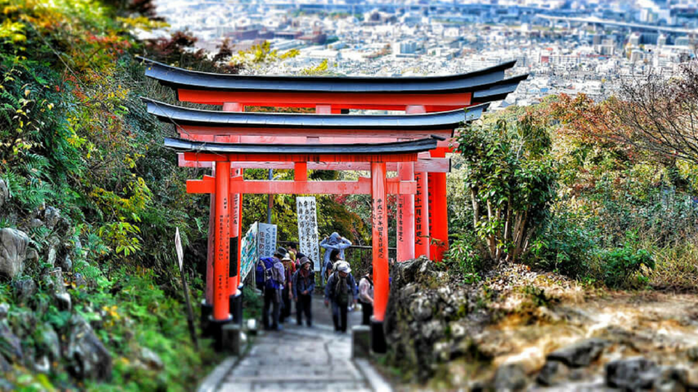 kyoto culture tour