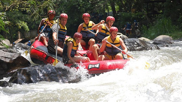 Bali Elephant Trekking and Rafting Day Tour