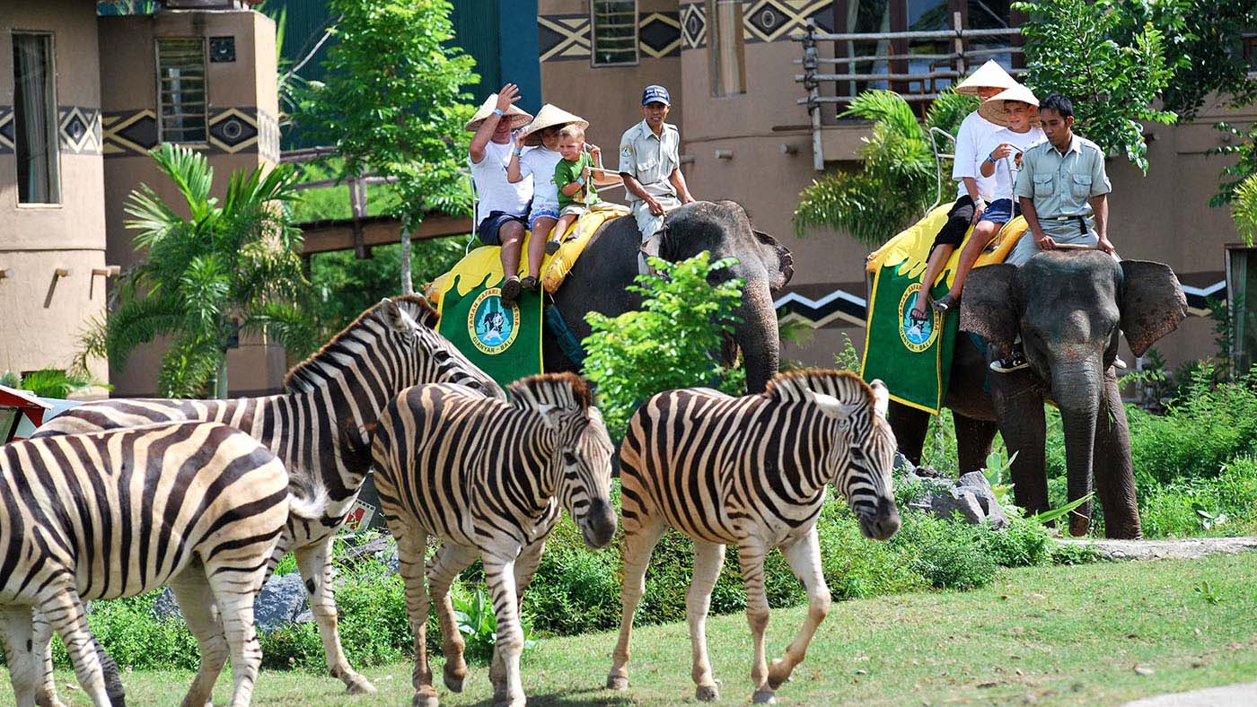 Educational Tourist Attraction in Bali