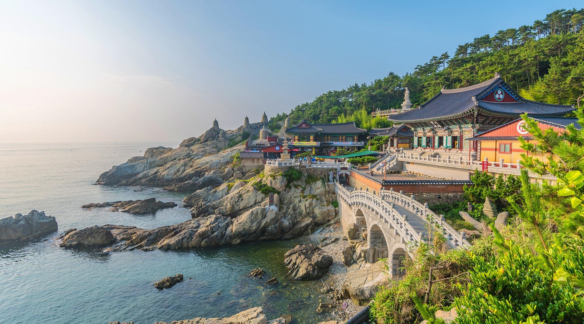 Free dating sims in Busan