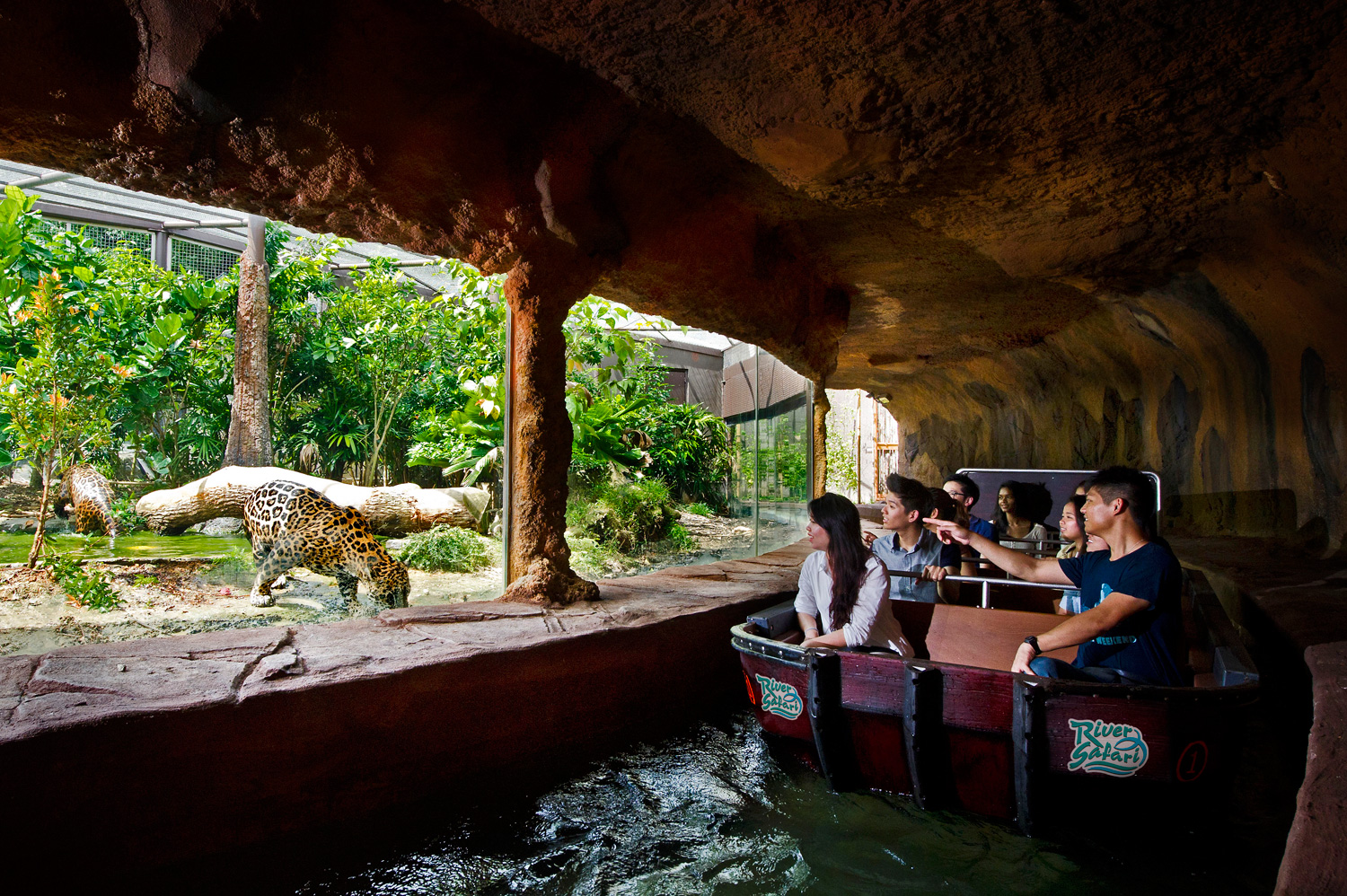 singapore river safari experience