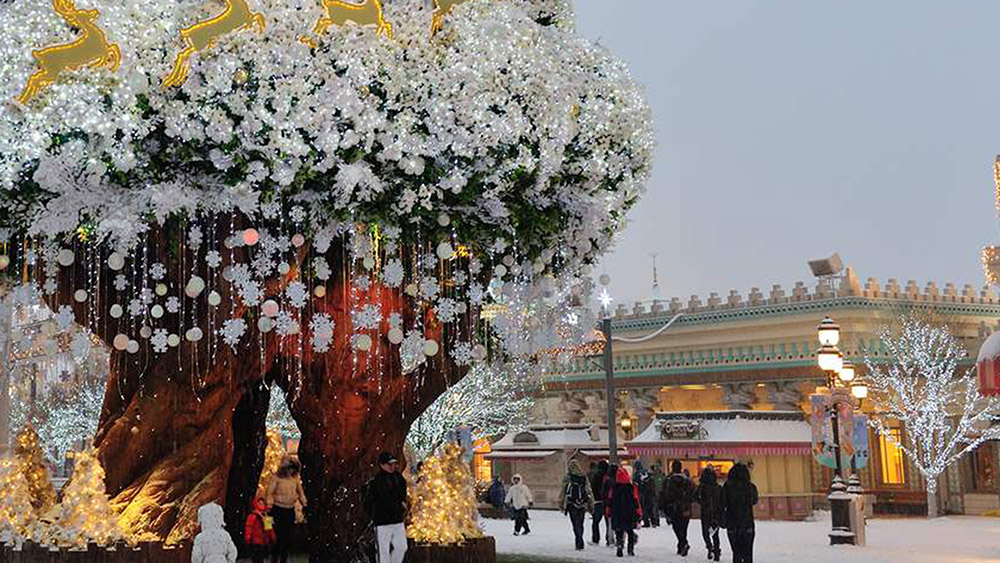 Everland And Jisan Forest Ski Resort Day Tour
