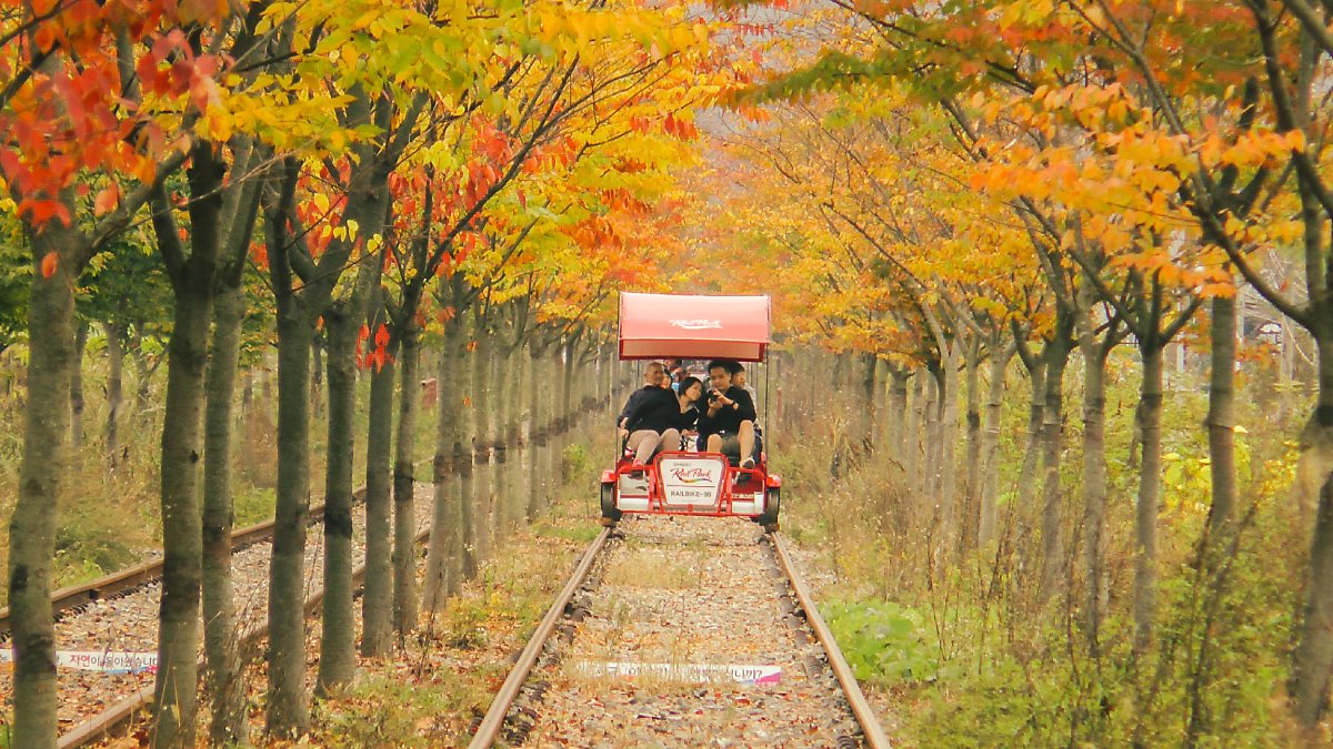 Gapyeong Rail Bike