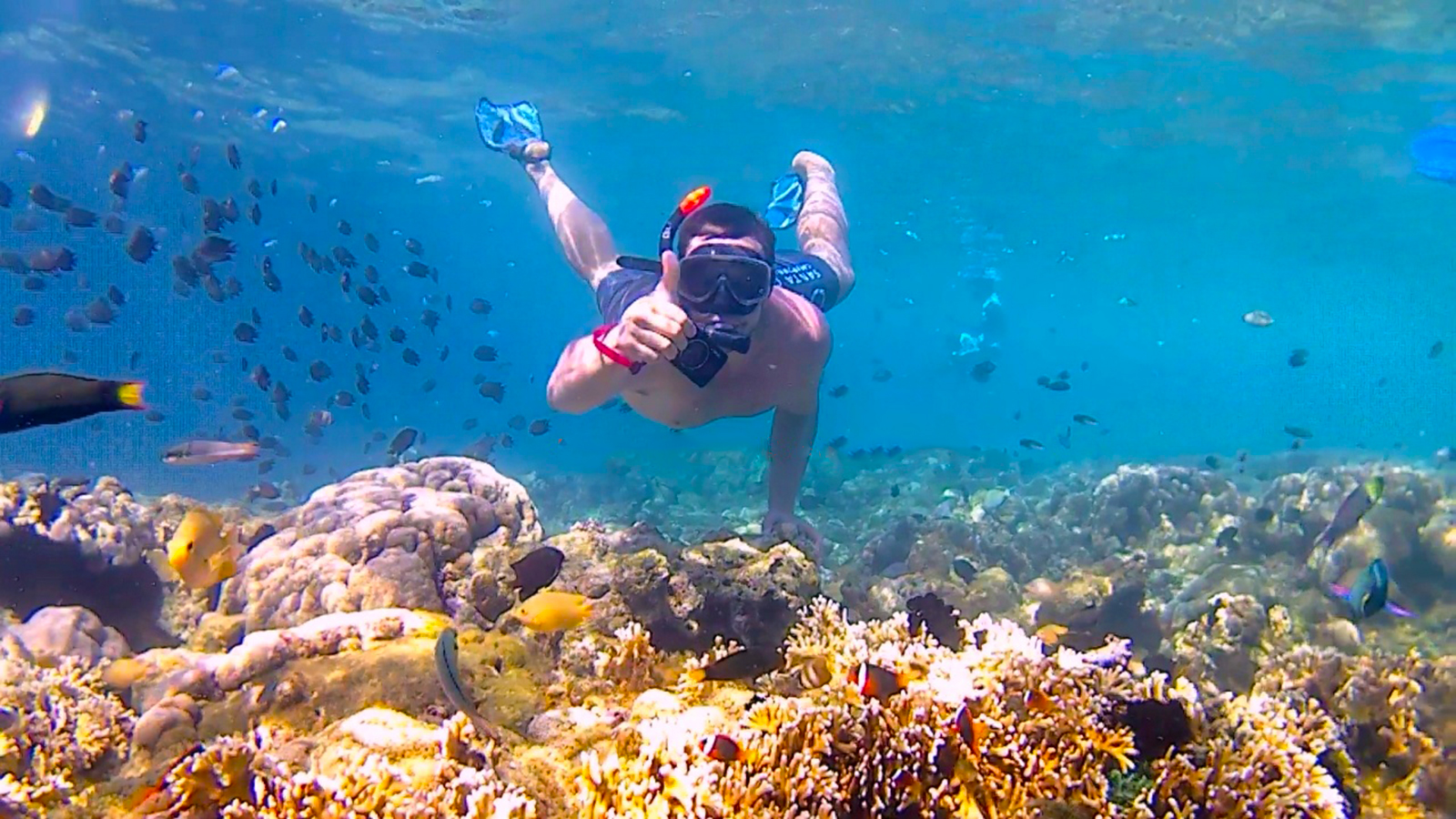 Gili Rengit and Gili Layar Lombok Snorkeling Tour