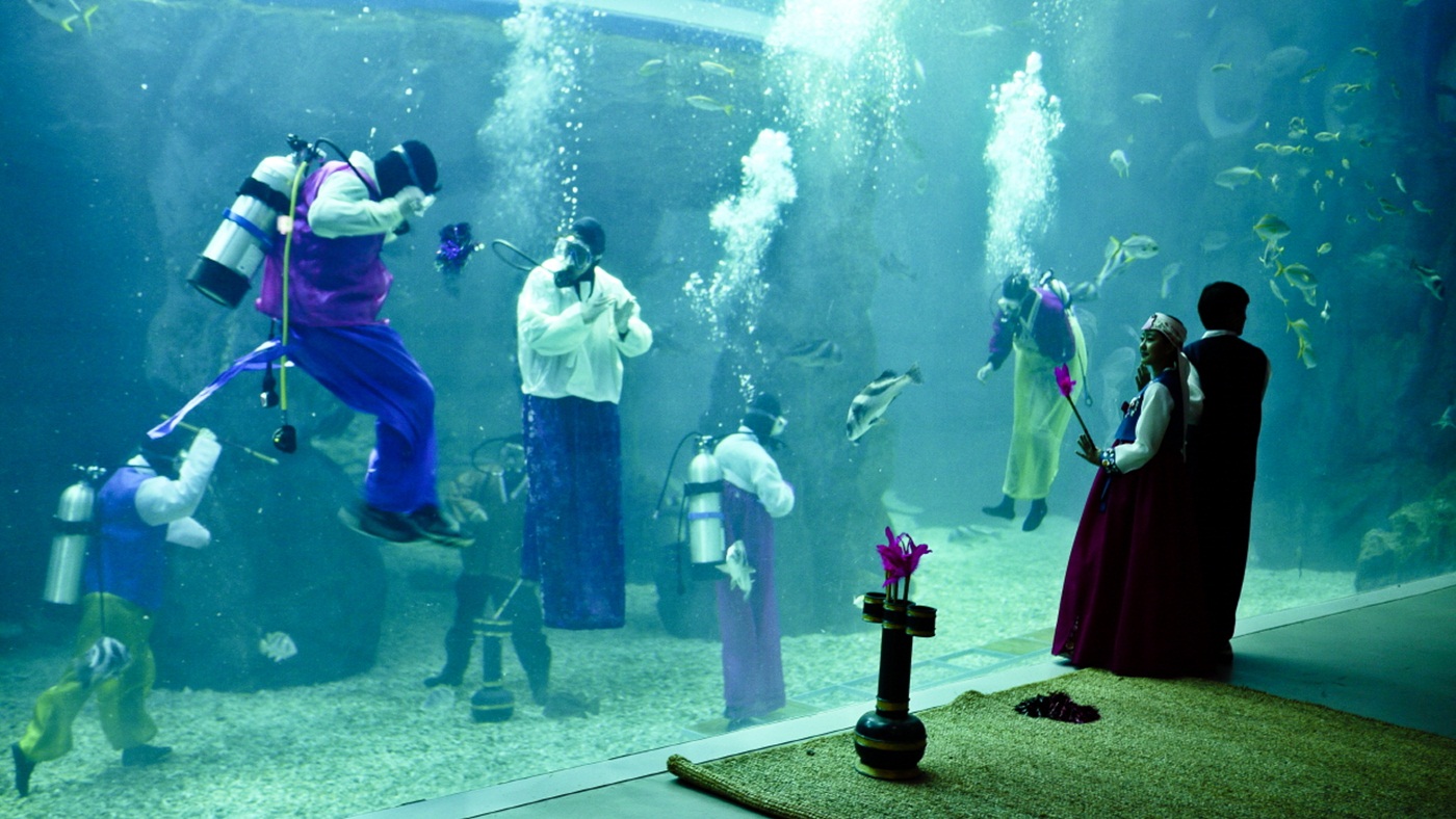 Hanwha Aqua Planet 63 Tickets