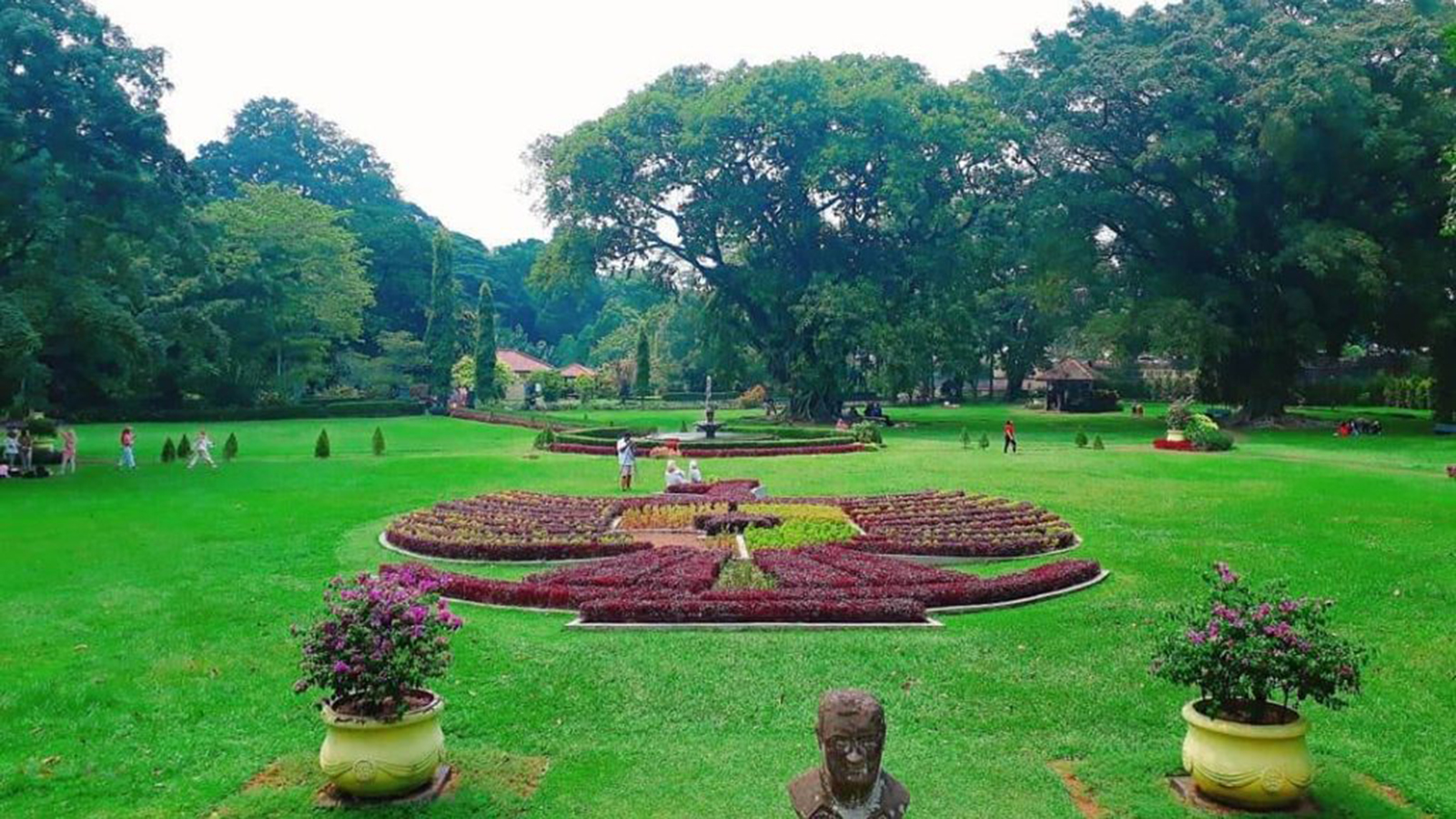 Jakarta Private Tour Bogor Botanical Garden 