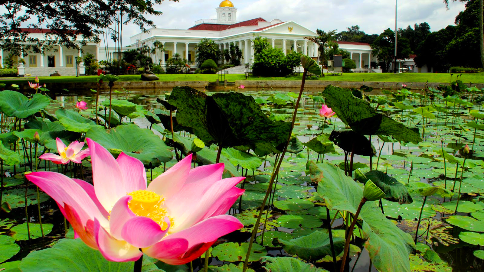 Jakarta Private Tour Bogor Botanical Garden 