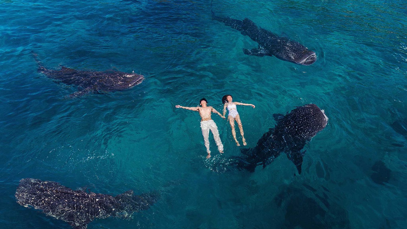 [Join Tour] Oslob Whale Shark and Kawasan Falls Canyoneering