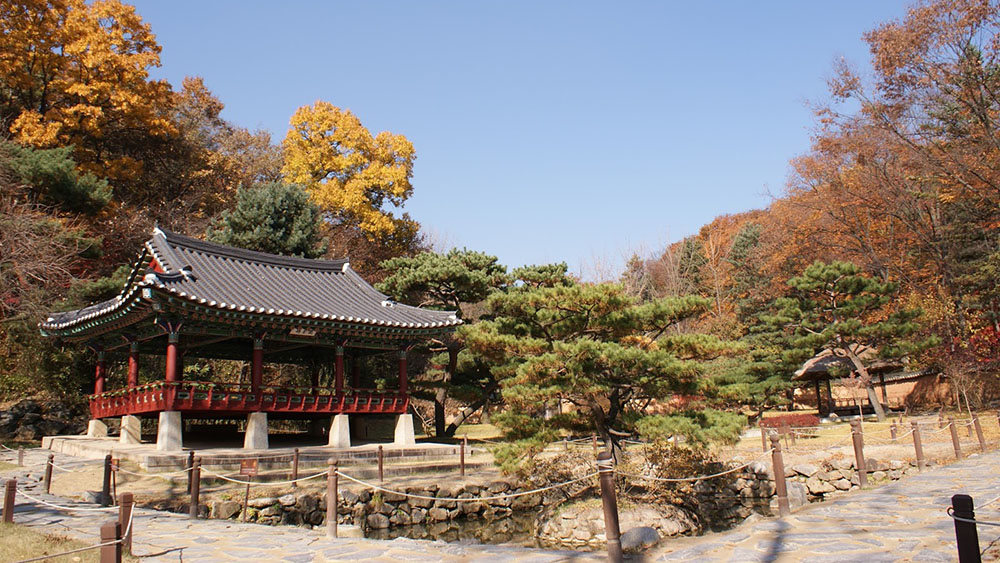  Korean Folk Village  Morning Tour