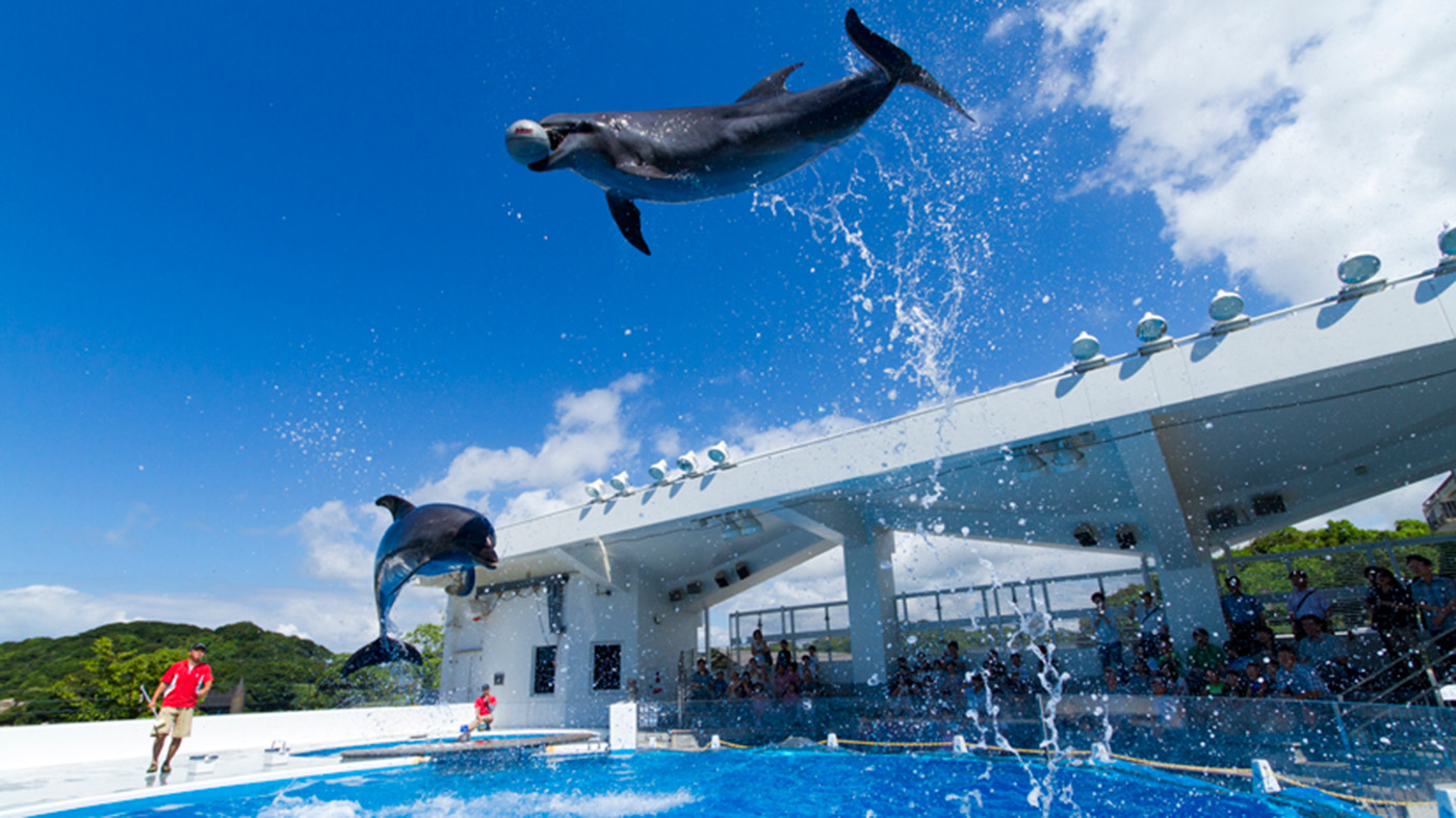Nagasaki Umikirara Aquarium and Morikirara Garden & Zoo