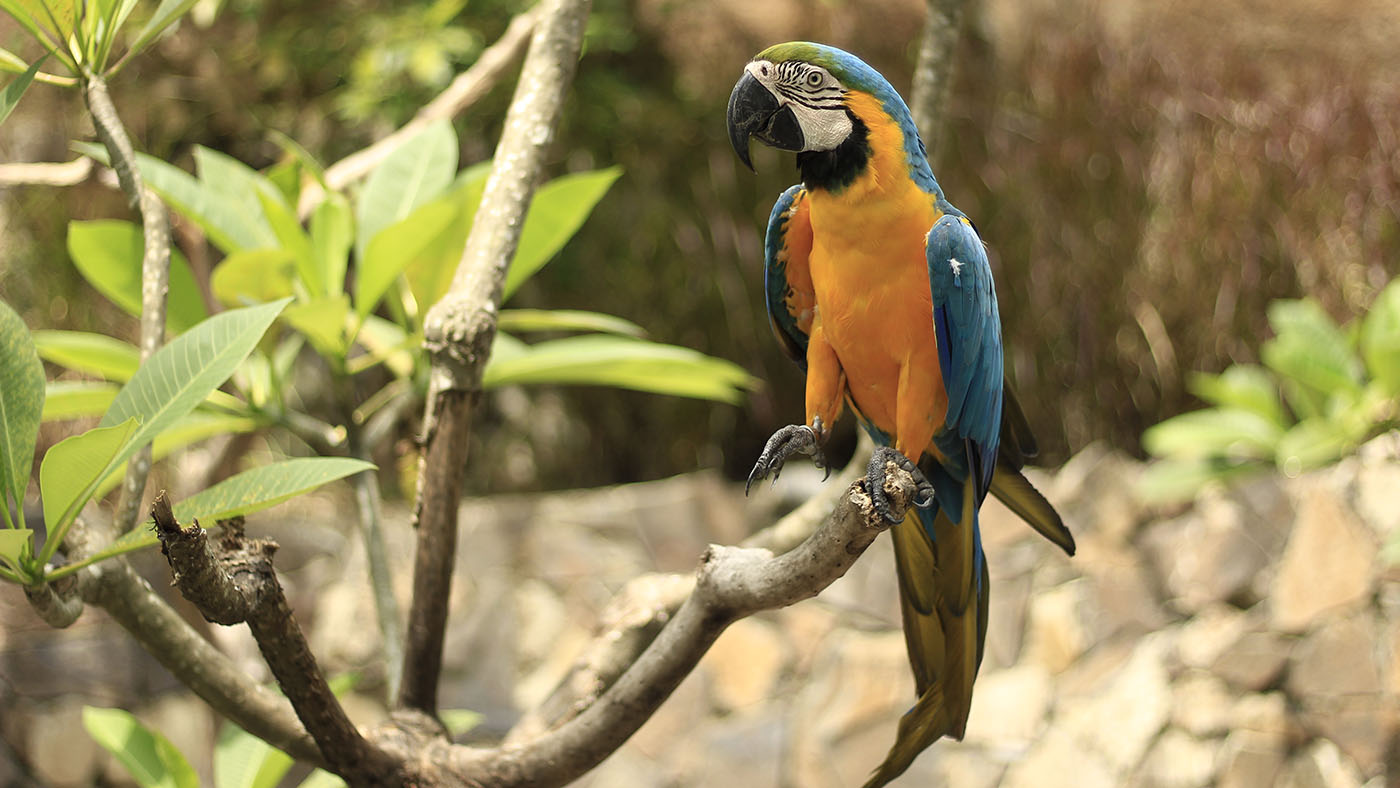 Lombok Wildlife Park