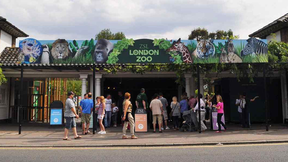 비프리투어 ZSL 런던 동물원 입장권