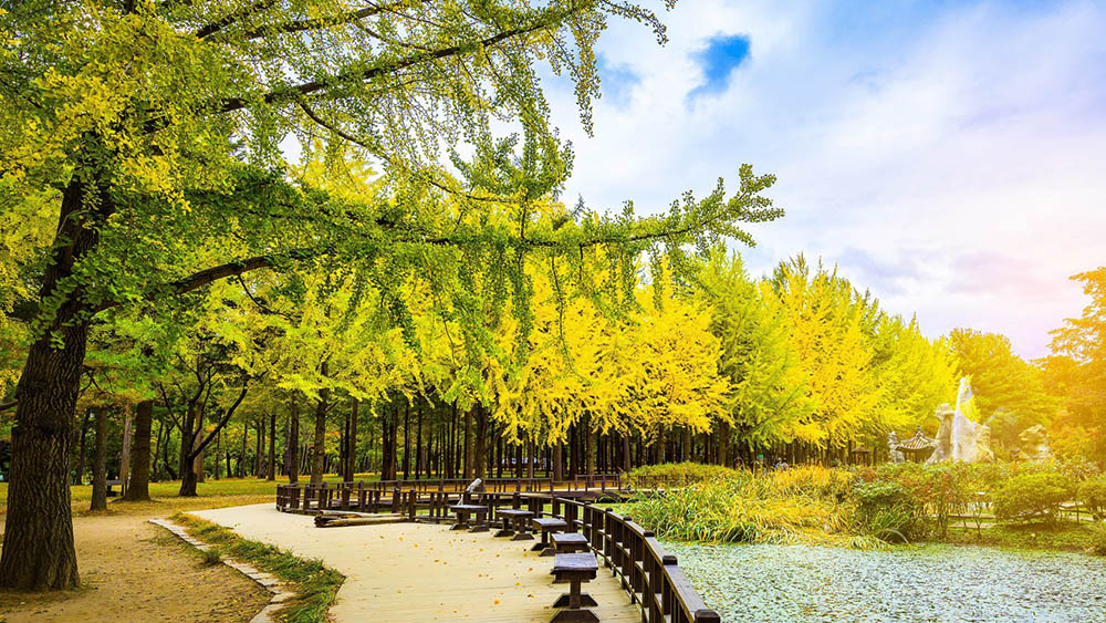 Rekomendasi Tempat Wisata di Korea Selatan