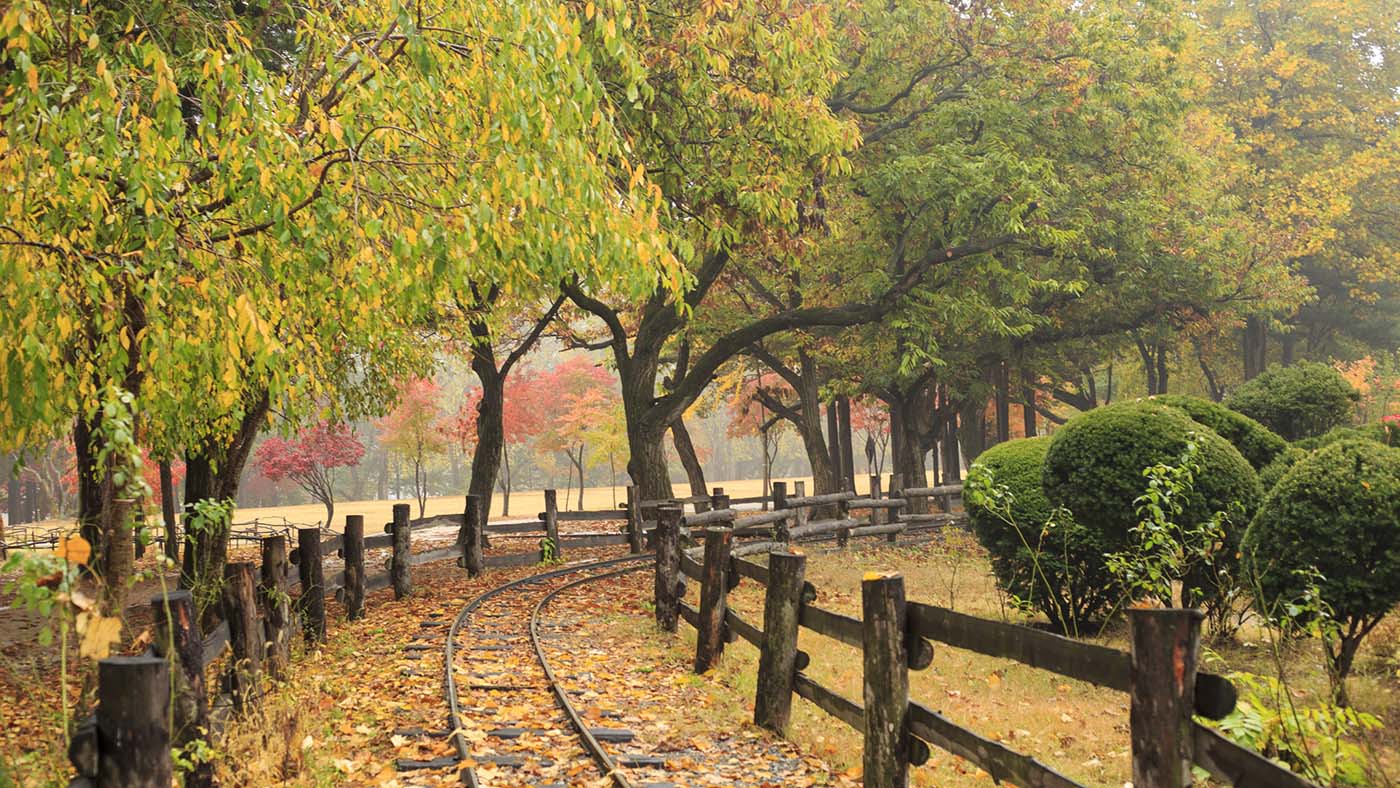 nami island and petite france tour