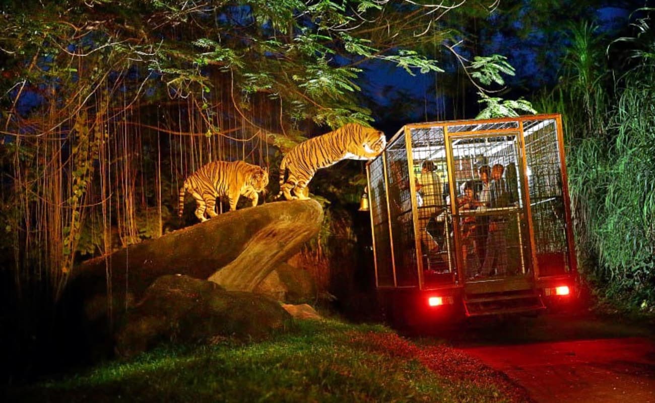 tiket night safari bali