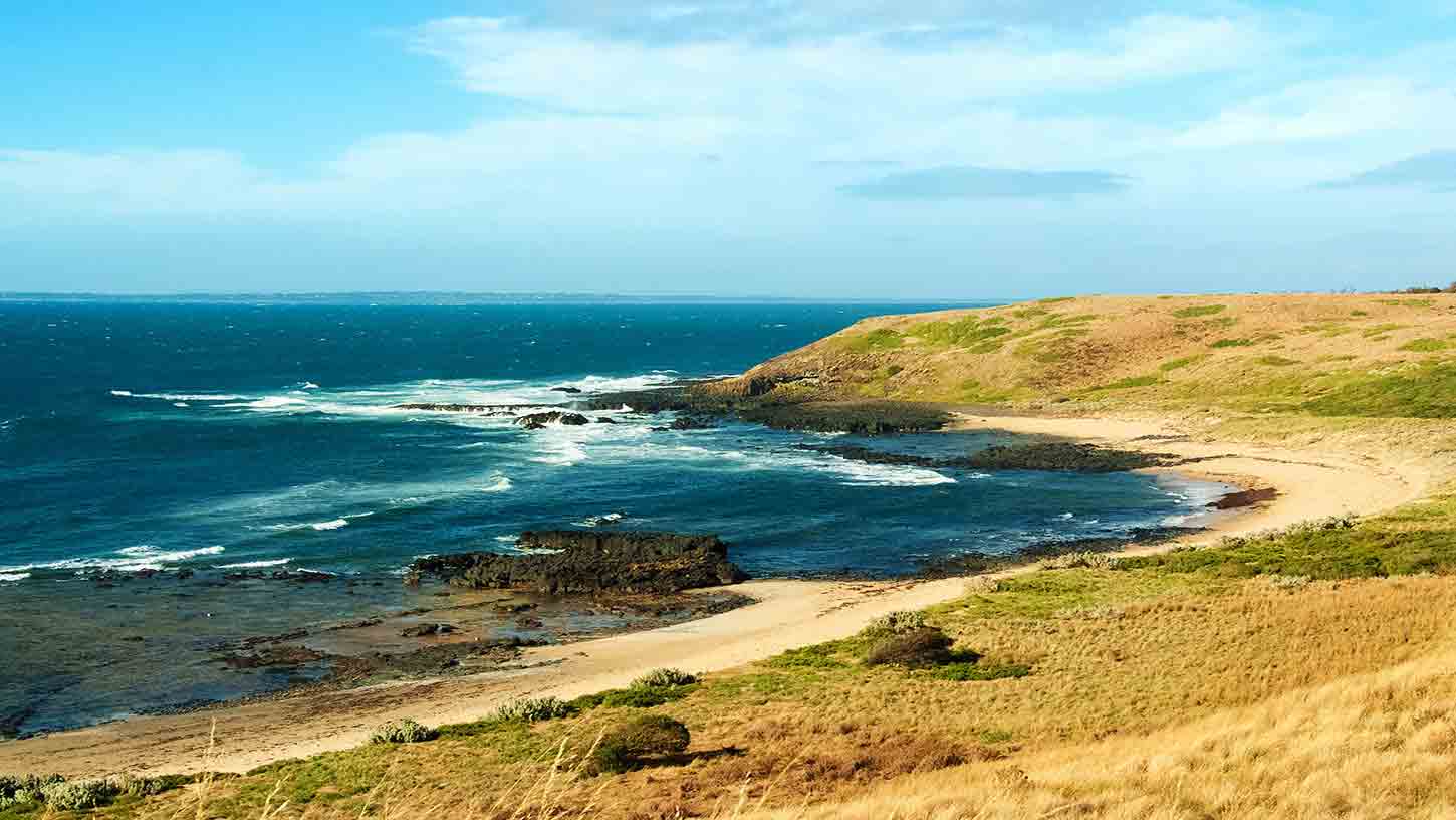 Pulau Phillip