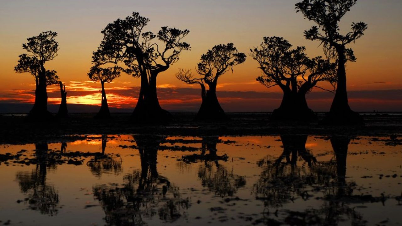 PRIVATE TRIP 5 Days Exploring Sumba Island Indonesia