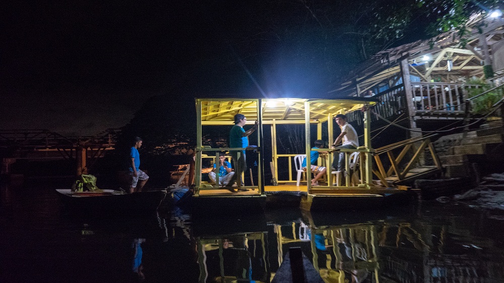 puerto princesa firefly tour