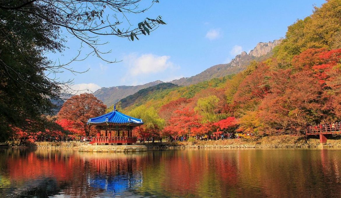 Seorak Mountain Autumn Foliage One Day Tour