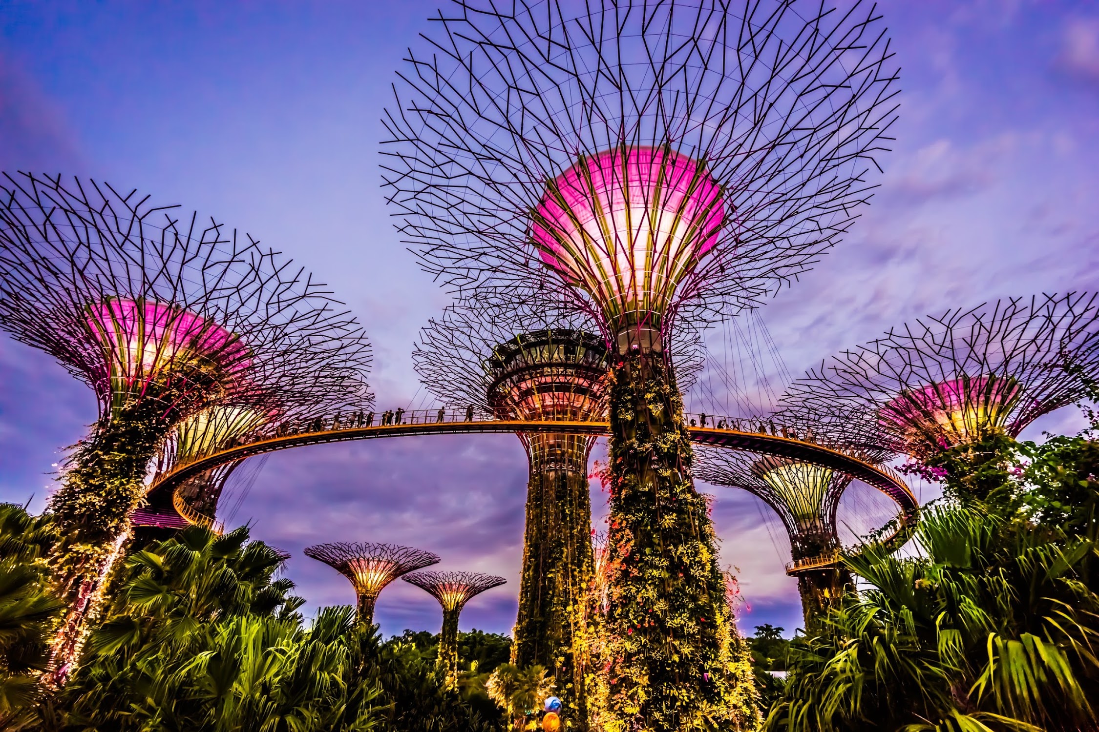 Singapore Package SIM Card Gardens By the Bay Singapore Package SIM Card Gardens By the Bay