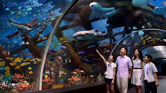 Sea Aquarium - Foto, Lokasi, Review, Rute & Fasilitas - Befree Tour