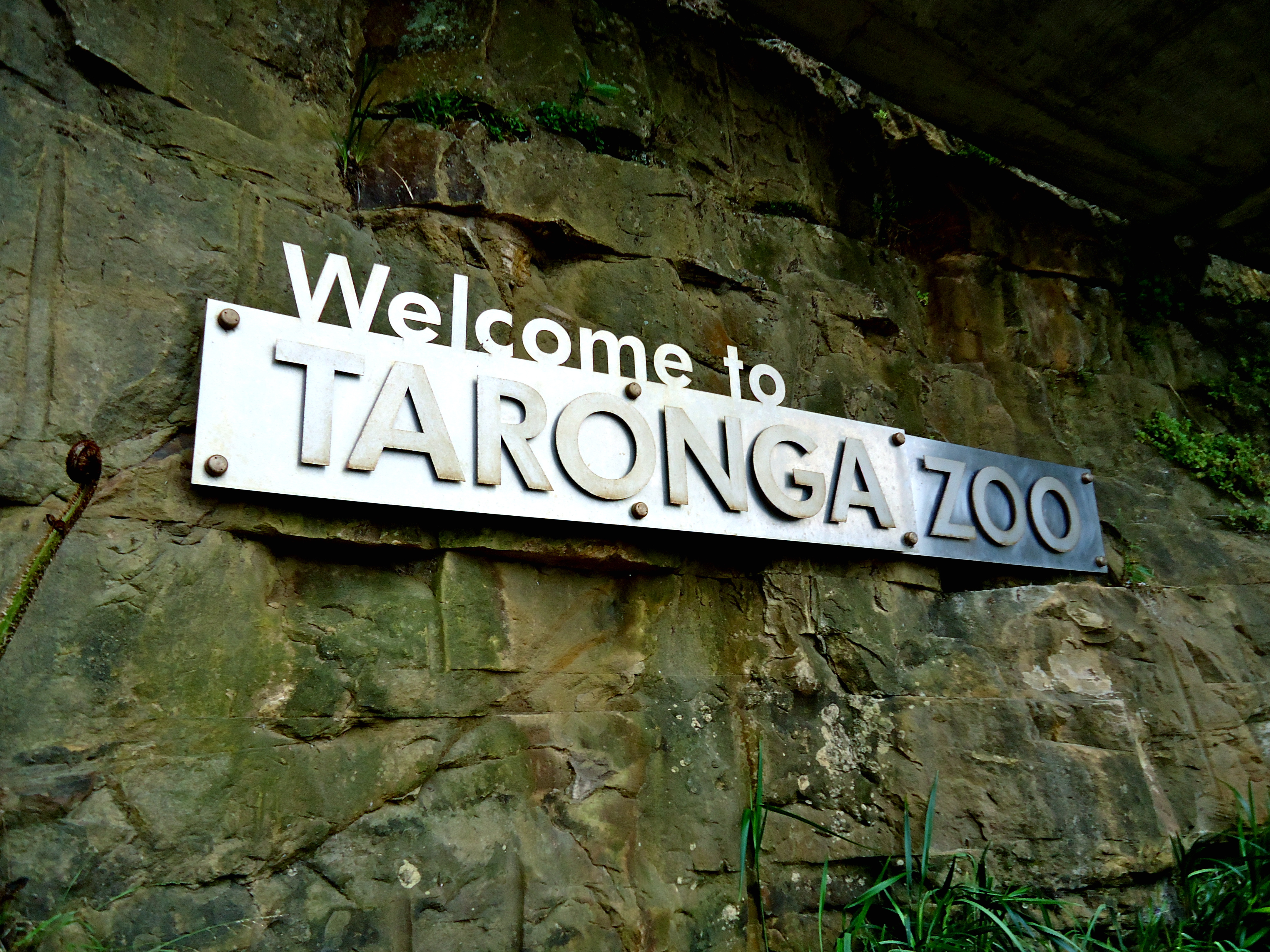 Sydney Taronga Zoo Entry Ticket