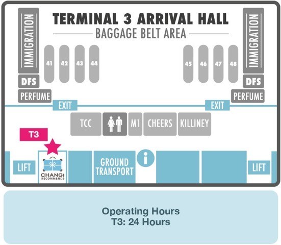 Переведи hall. Arrival Terminal Россия. Baggage Hall. Arrivals Hall. Arrivals Hall перевод.